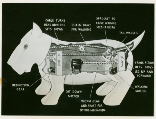 Sparko the robotic dog Sparko the robotic dog
